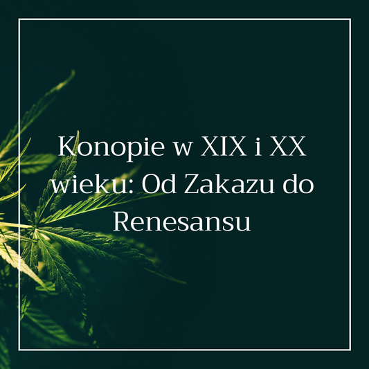 Konopie w XIX i XX wieku: Od Zakazu do Renesansu